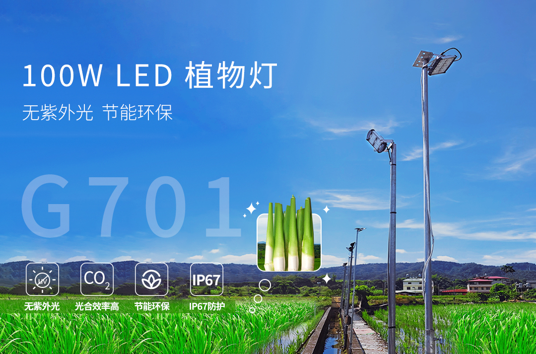 G075-LED茭白笋灯-3_01.jpg