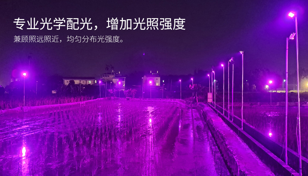 G075-LED茭白笋灯-3_02.jpg
