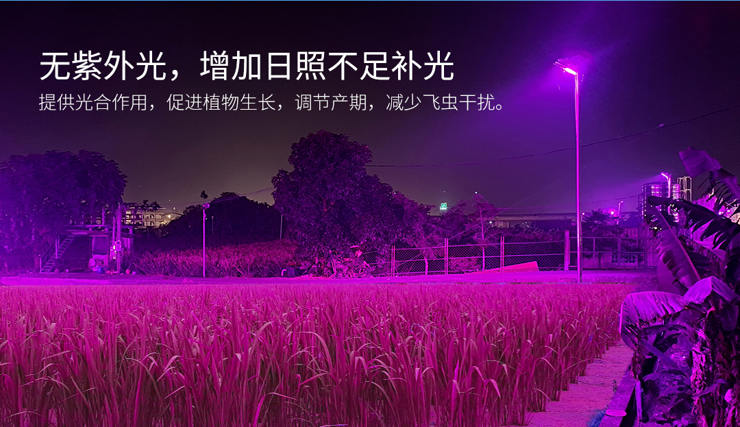 20230423版-G072-LED茭白笋灯---中文版_03.jpg