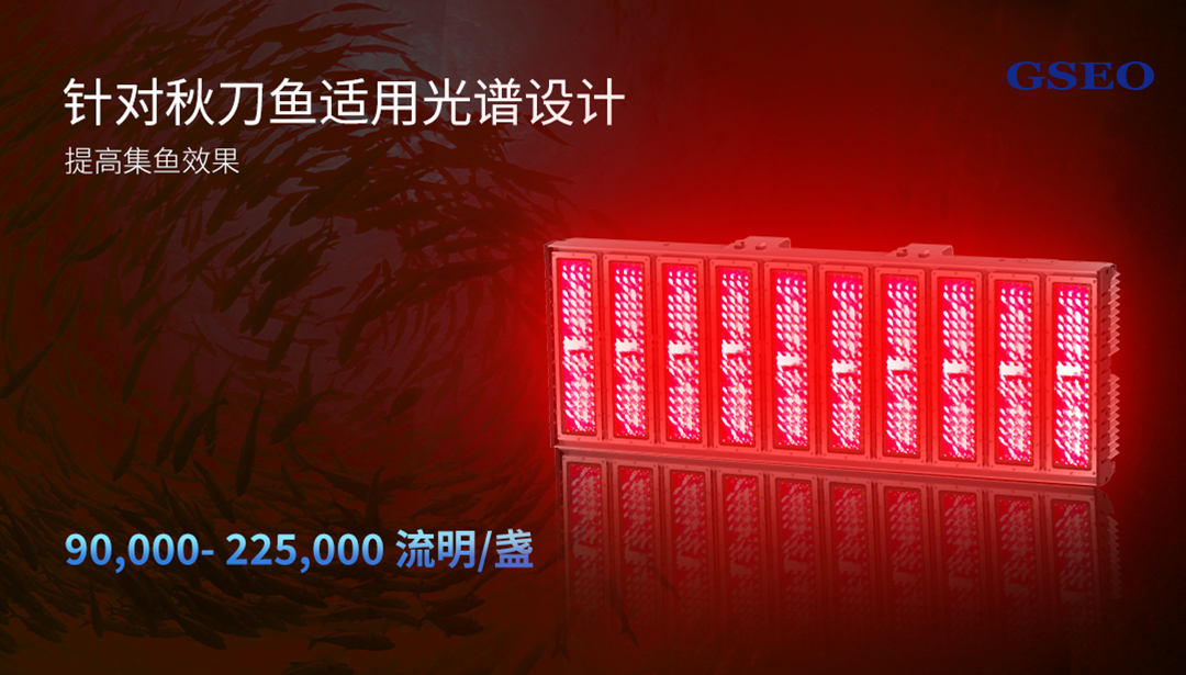 G816集鱼灯.jpg