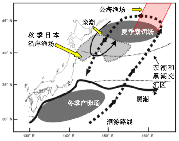 秋刀鱼洄游路线图.png
