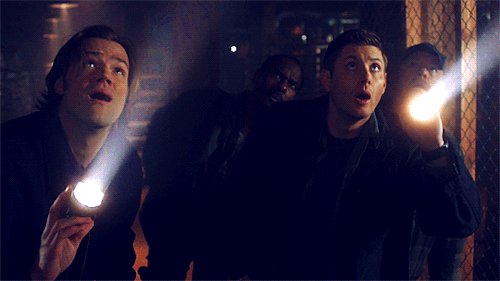 3.gif