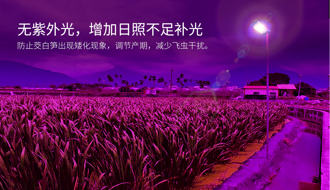 G075-LED茭白笋灯-3_03.jpg