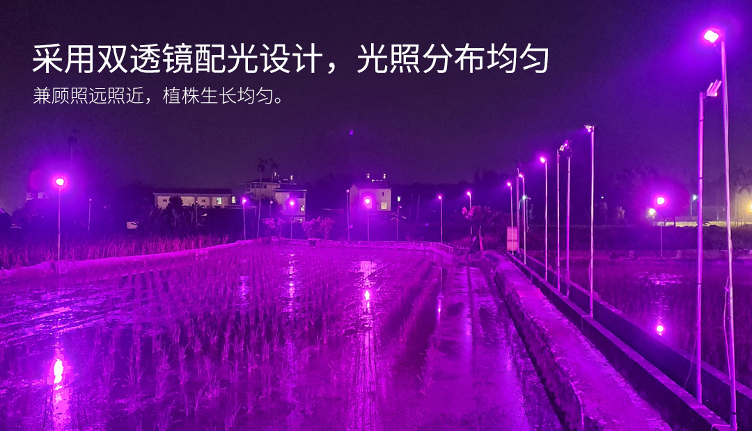 G071-LED茭白笋灯-3_02.jpg
