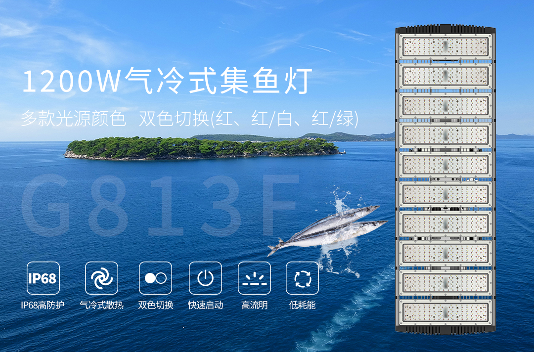 G813F-1200W详情(中文版）_01.jpg