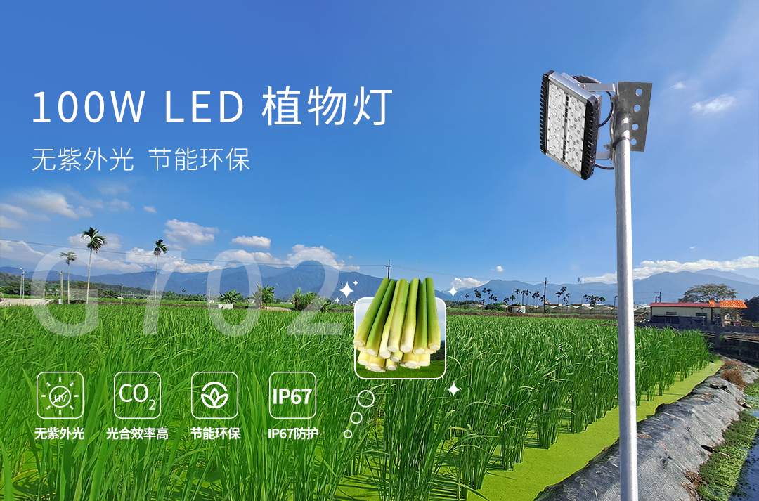 20230423版-G072-LED茭白笋灯---中文版_01.jpg
