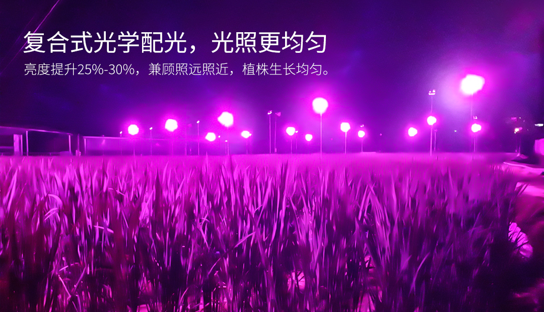 20230423版-G072-LED茭白笋灯---中文版_02.jpg