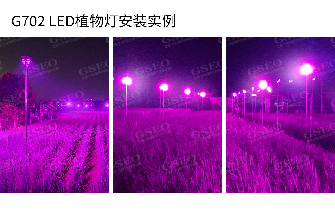 D702详情水印.jpg
