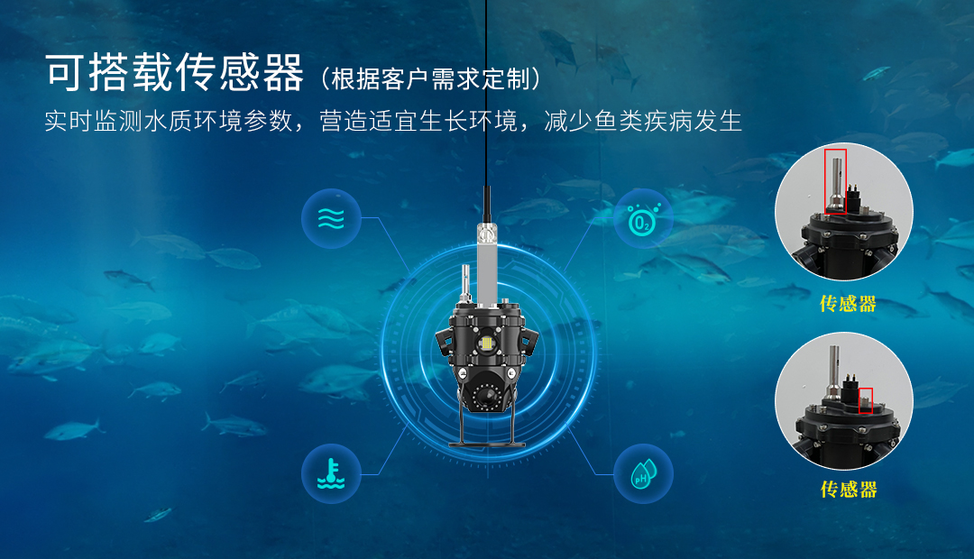 D301B官网详情(中文版）_02.jpg