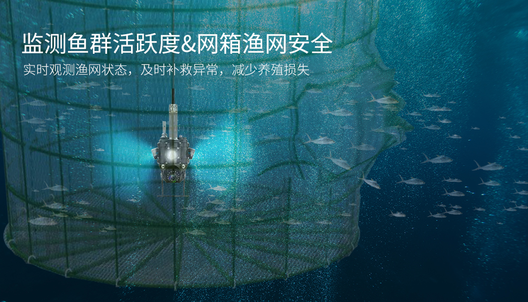 D301B官网详情(中文版）_04.jpg