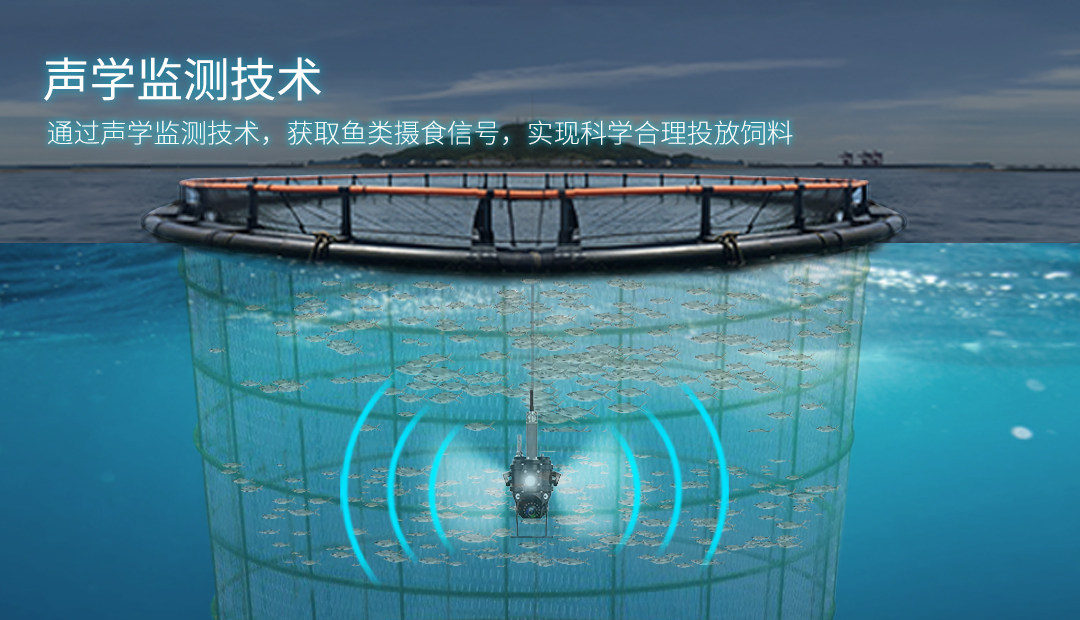 D301B官网详情(中文版）_05.jpg