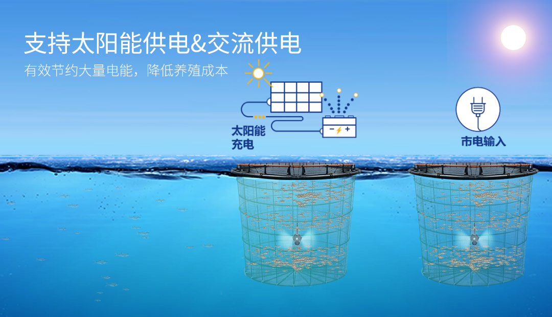 D301B官网详情(中文版）_08.jpg