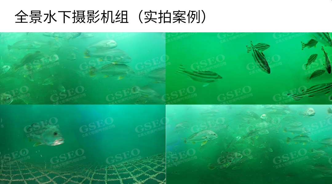 D301B官网详情(中文版）_09.jpg